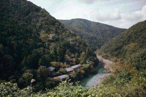 Derecho Storm and the Financial Green: Trees Forever’s Stand and Stock Market Implications