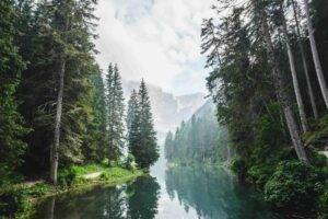 Climate Crisis into the Mainstream and Engages: Implications for Stock Exchanges